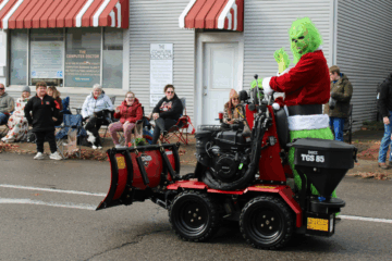 Grinch Christmas Tree Ornament Ideas for Festive Holiday Decor